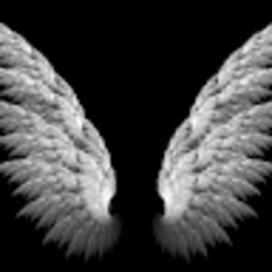 Meet your Posher, Kit